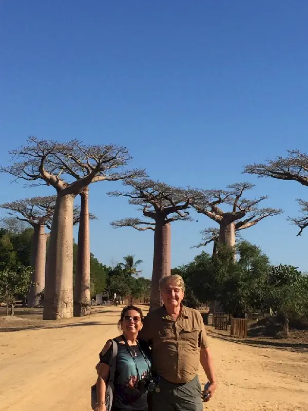 Baobab vadisi ve biz