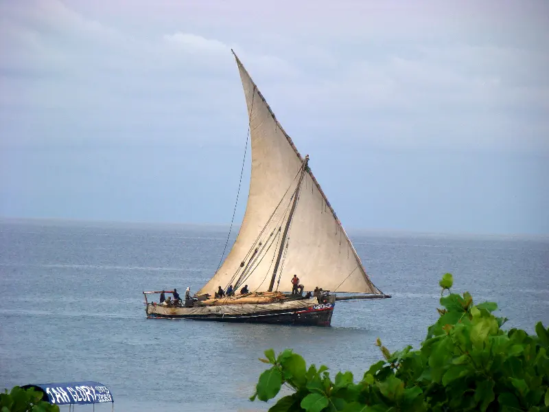 Zanzibar, Dhow adı verilen geleneksel yelkenliler