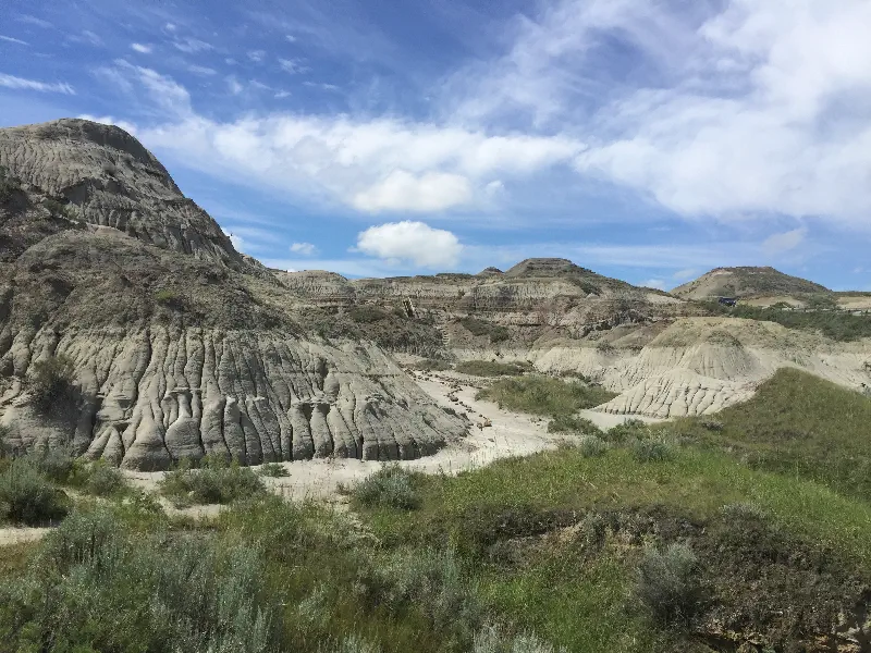 Dinasour Provincial Park