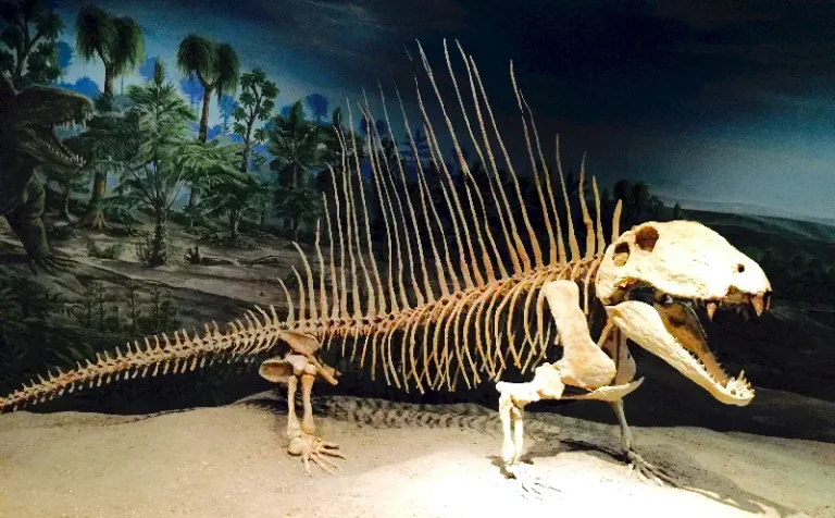 Dinasour Provincial Park dinazor türleri konusunda bir cennet