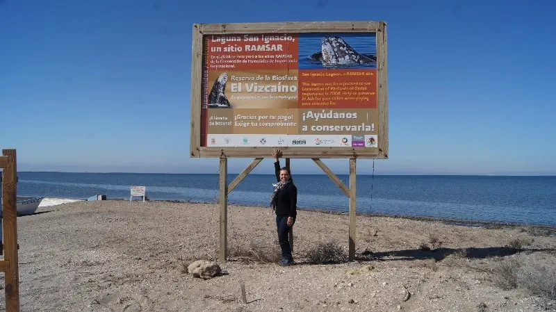 Dünya Mirası ve Koruma Alanı, her yerde vurgulanan bu