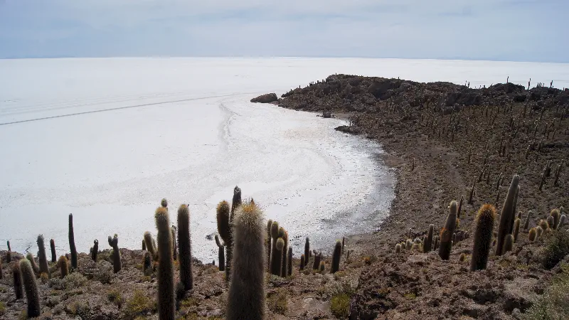 Incahuasi adasından Uyuni tuzlaklarına bakış