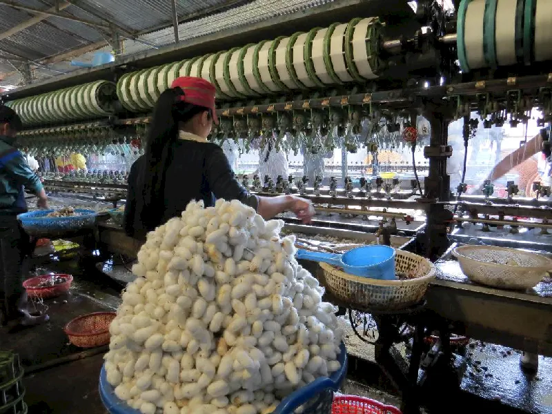 İpek iplikleri fabrikada işleniyor