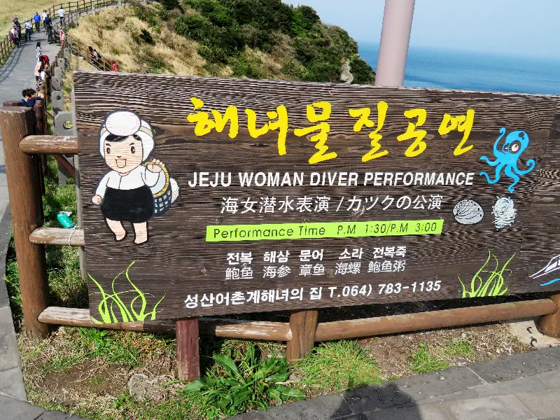 Jeju`nun ünlü geleneksel kadın dalgıçları