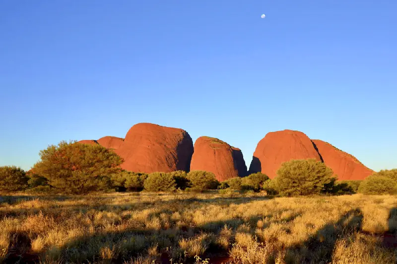 Kata Tjuta kayaları