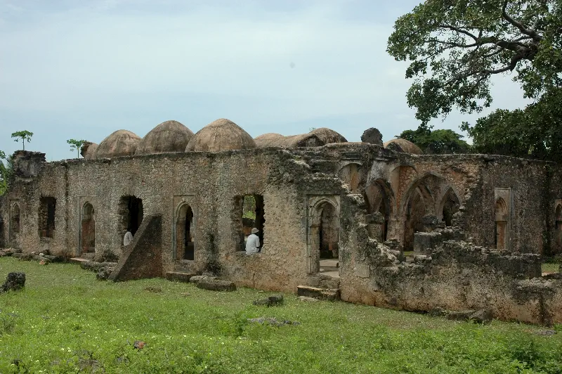 Kilwa Kisiwani’de Husuni Ndogo hamamının kalıntıları