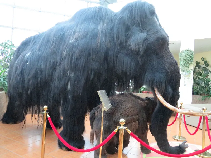 Mamut fosil yatağı Yakutistan