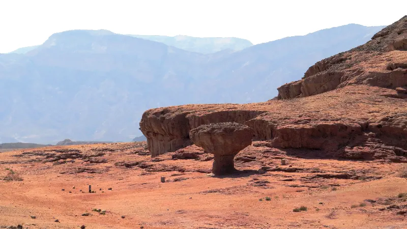 Negev Çölünde mantar biçimli Jeolojik kaya oluşumları