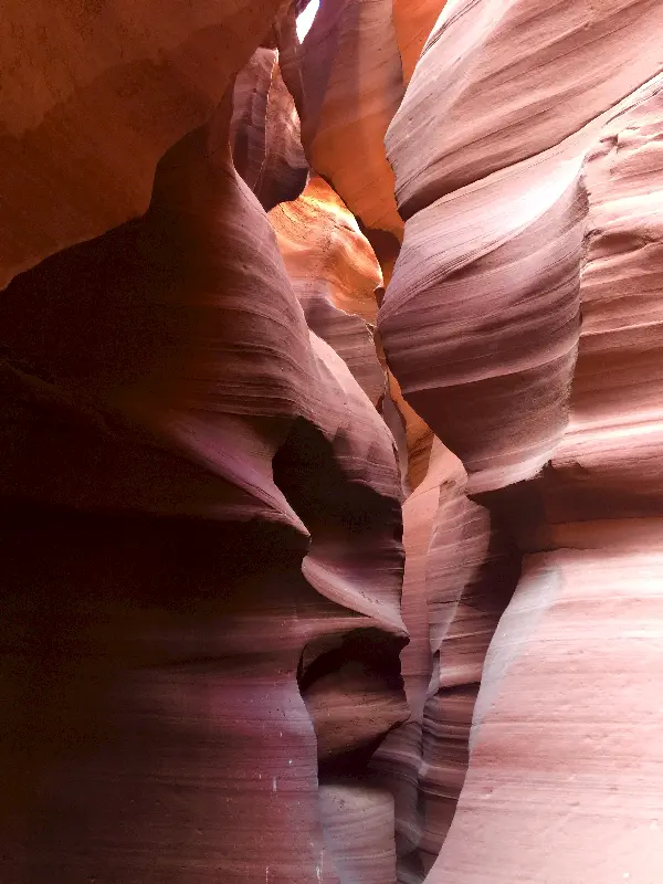 Sadece hissetmek, seyretmek ve anılarıma kaydetmek istedim Antelope Canyonu