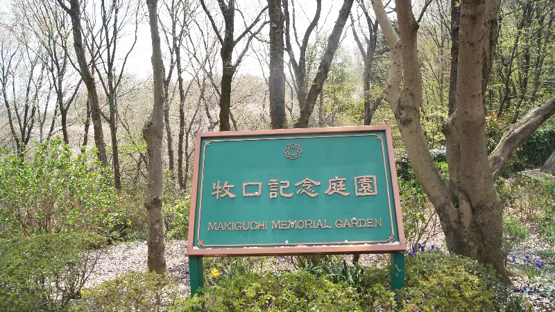 Sakura anı ormanı