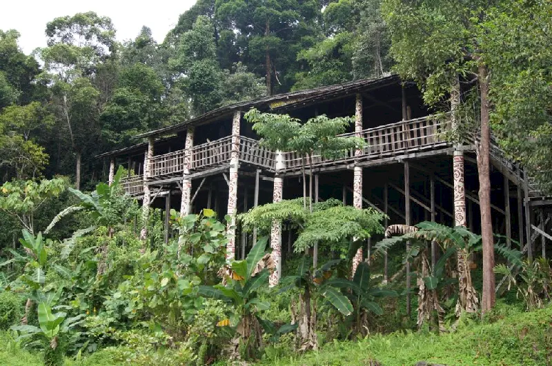 Borneo, turistlere yerel müzik gösterisi