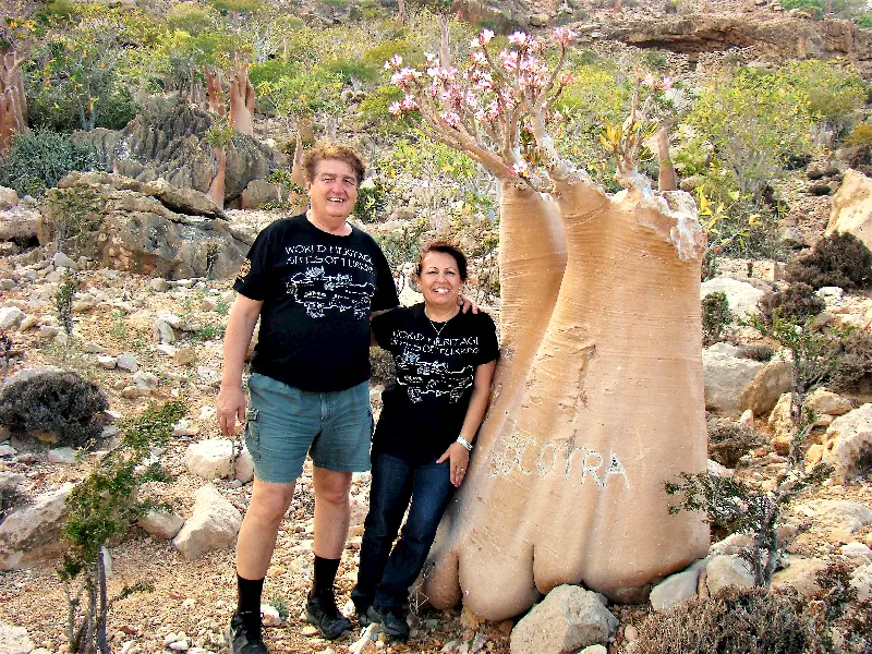 Su biriktiren gövdesi ile bir Desert Rose ağacı ve Ege’ler