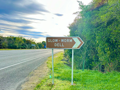 YENİ ZELANDA CANLI MAĞARA PIRLANTASI 4 glowworm tabela