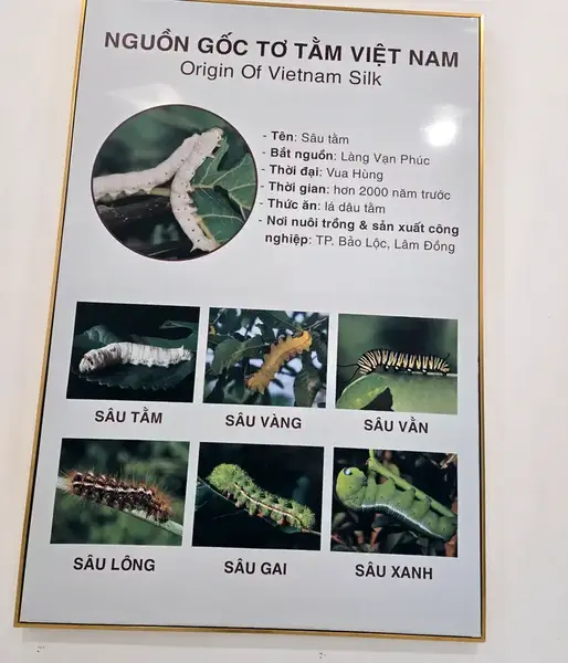 VİETNAMIN PHU QUOC ADASI 6 Vietnam phu quoc ipek bocegi