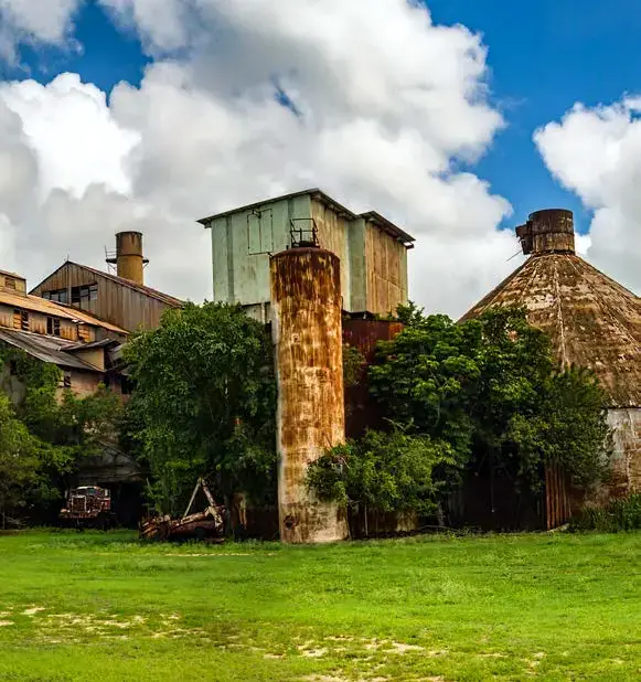ŞEKER KAMIŞININ ÖYKÜSÜ 8 gezgin seker kamisi fabrika