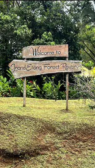 grenada etang orman