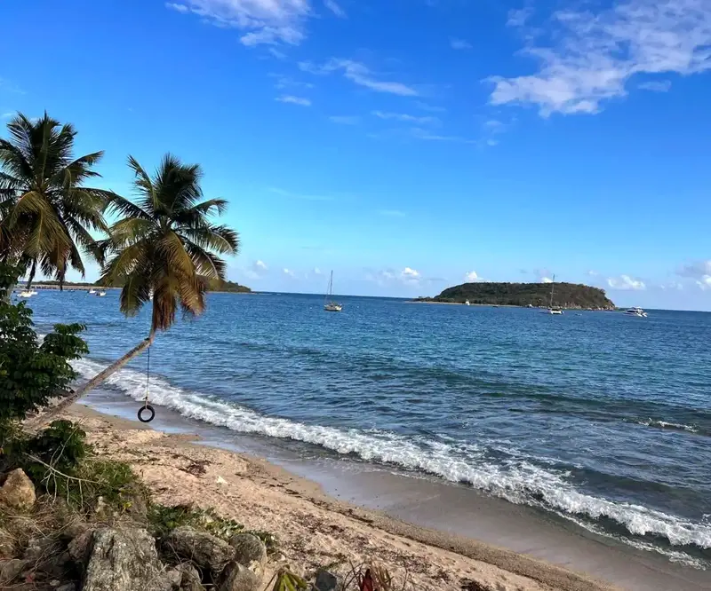 KARAYİP GÜZELİ VIEQUES 3 karayip giris