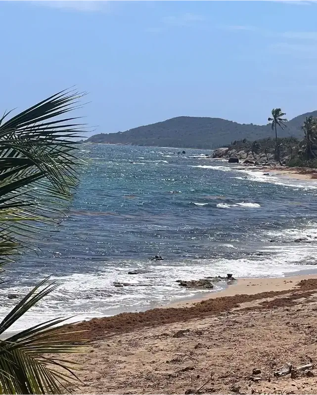 KARAYİP GÜZELİ VIEQUES 4 karayip plaj