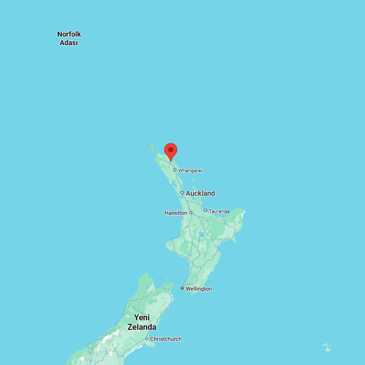 MAORİ TARİHİNİN DÖNÜM NOKTASI WAİTANGİ II 2 waitangi harita