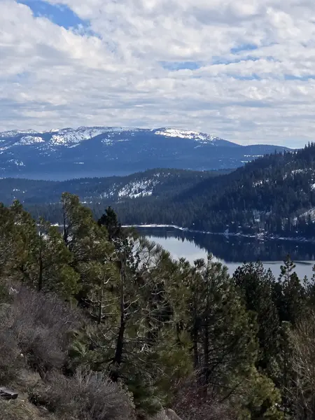 Nevada Reno 2