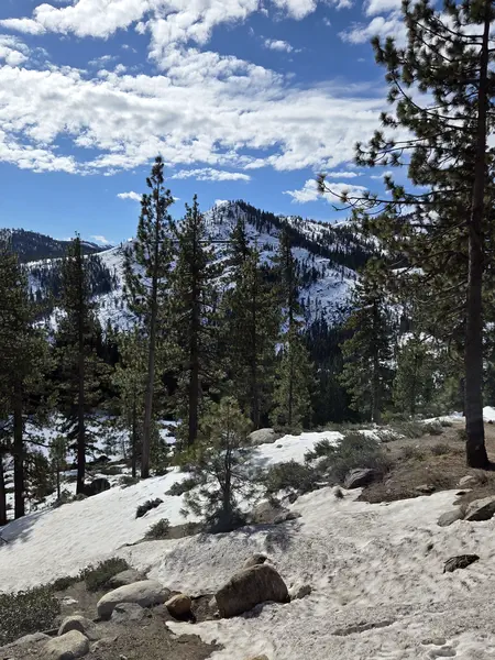 Nevada Reno 5