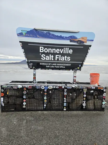Salt 6