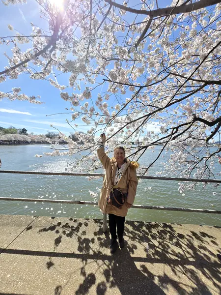 WASHINGTON DC VE SAKURALAR 2