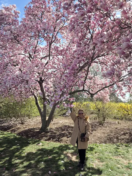 WASHINGTON DC VE SAKURALAR 4