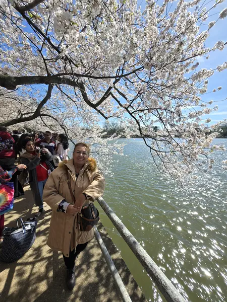 WASHINGTON DC VE SAKURALAR 7