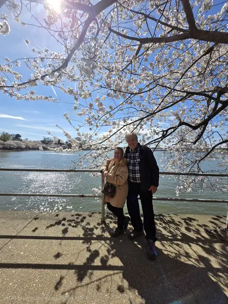 WASHINGTON DC VE SAKURALAR 8
